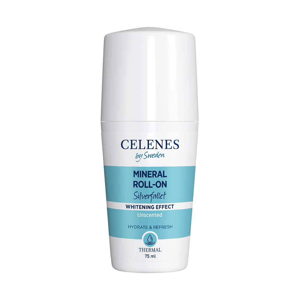 THERMAL ROLL-ON MINÉRAL MEN SILVERFALLET